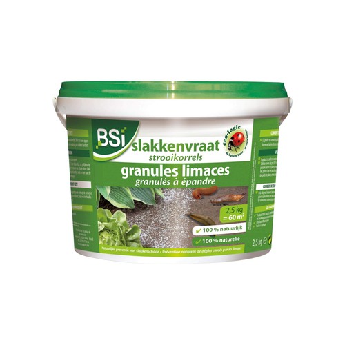 Bsi granulato anti - granulato,