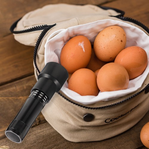 Egg candler wireless lampada - candler,
