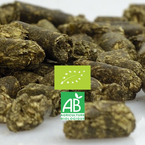 Erba medica alfalfa luzerne - alfalfa,