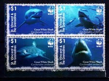 St. Vincent 2006 Grande Squalo