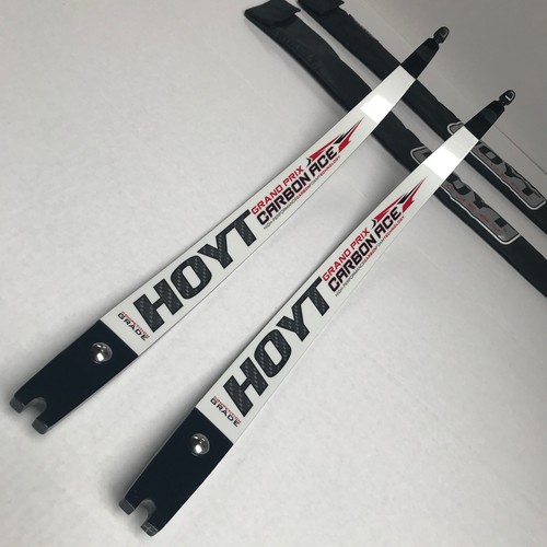 Hoyt grand prix - carbon, ace