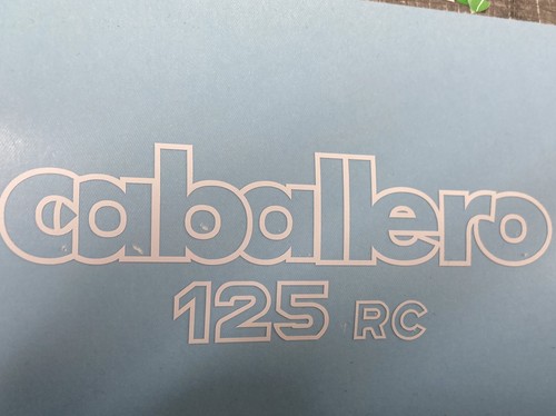 Pezzi logo fantic caballero - logo,