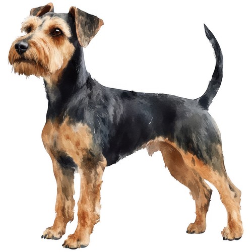 Adesivi airedale terrier - adesivi,