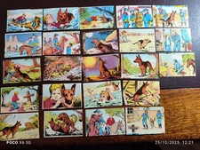 Lotto 23 figurine RIN-TIN-TIN - Lampo 1961 -  ottime