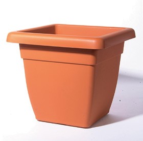 Vaso atena quadro 30x30 - vaso,