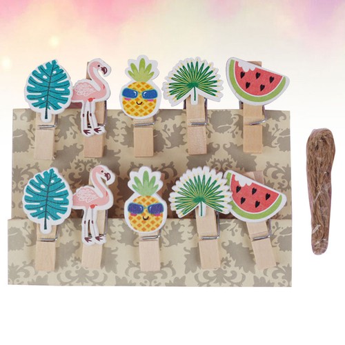 Pezzi graffette carta - 30,