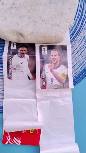 Panini fifa world cup - world, 2026