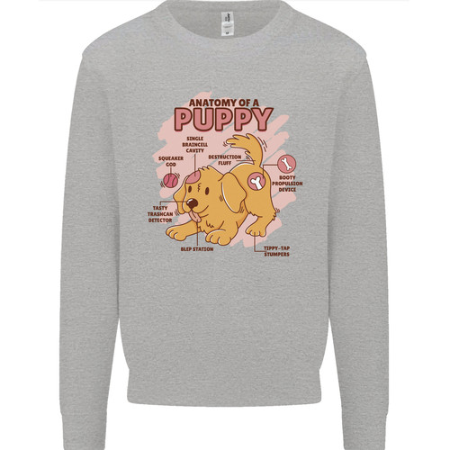 Maglione felpa uomo anatomia - felpa,