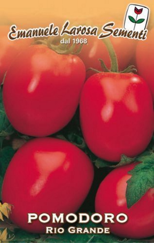 400 semi seeds - 400, pomodoro