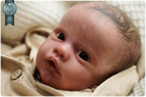 Studio doll boy reborn primula - boy,