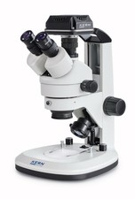 Microscopio KERN KP-5294 –