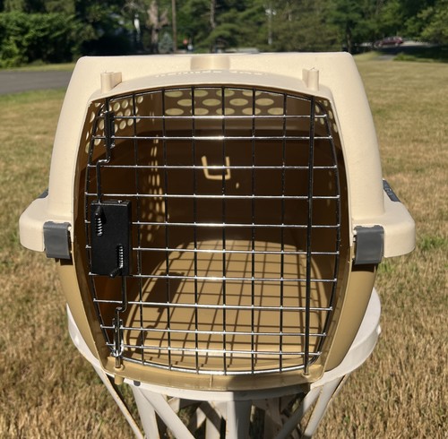 Kennel cab taxi - cab, gabbia