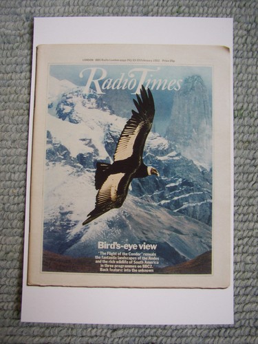 Postcard radio times february - postcard,