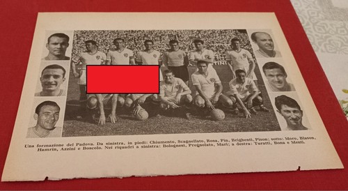 Padova squadra foglio pagina - squadra, foglio/pagina