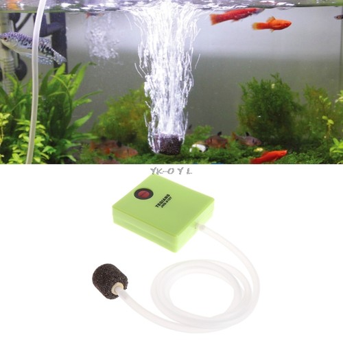 Acquario secco serbatoio - acquario, pesci