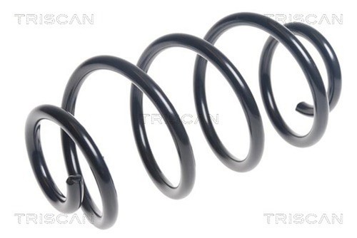 Molla sospensione triscan - 1x,