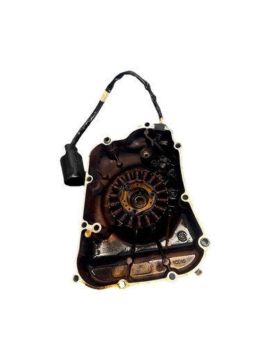 Carter magnete statore - carter,