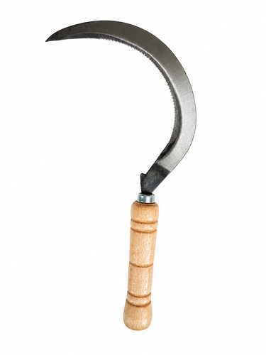 Falce dentata 0 - dentata, 7/0
