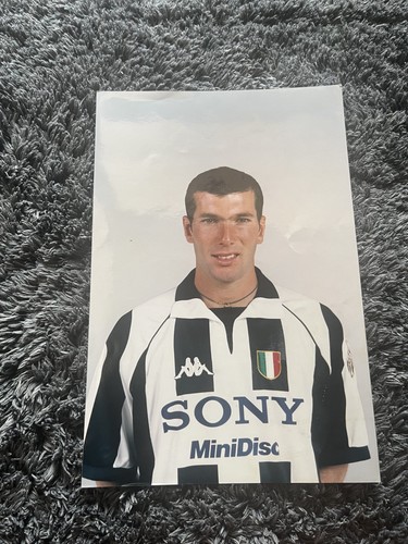 Fotografia zidane juventus - fotografia,
