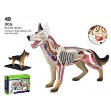 4D Vision Animale Cane Animale