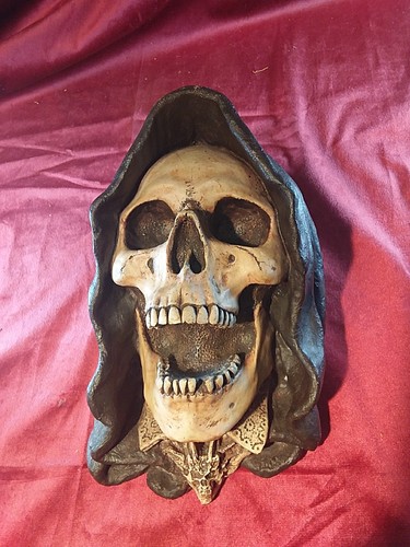 Memento mori testa teschio - testa,