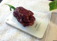 peperoncino CHOCOLATE BHUTLAH