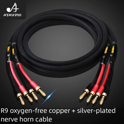 Coppia cavi altoparlanti hifi - cavi,