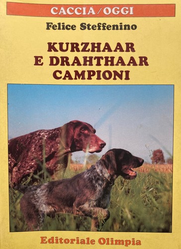 Steffenino kurzhaar e - steffenino,,