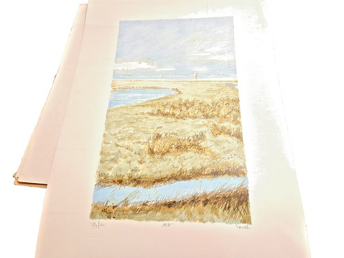 Litografia originale - originale, di
