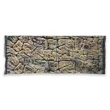 🐠 Parete posteriore