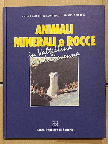Animali minerali rocce in - animali,