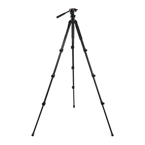 Celestron regal premium - celestron,