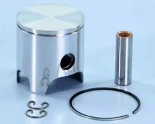 204.0617/A PISTONE POLINI