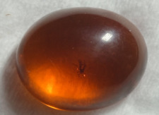 Ambra Lab Con insetto interno g.3.00 Cabochon Taglio Ovale 22x18mm   Orafo