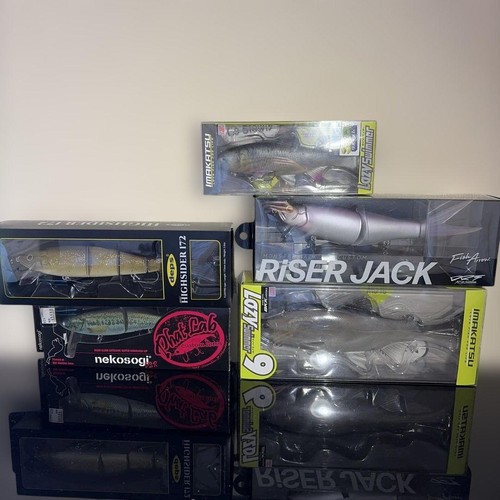 Bass fishing big - bass, swimbait