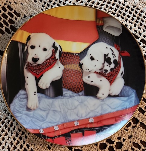 Danbury come nuovo pups n - danbury,