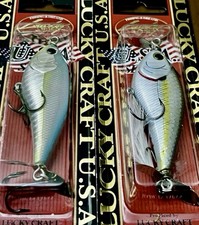 2 esche Lucky Craft Kelly J Prop Bait Topwater SUPER GLOW OB SEXY SMELT/ZEBRA MS