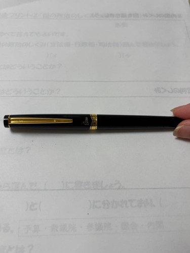 Pilot penna stilografica - pilot,