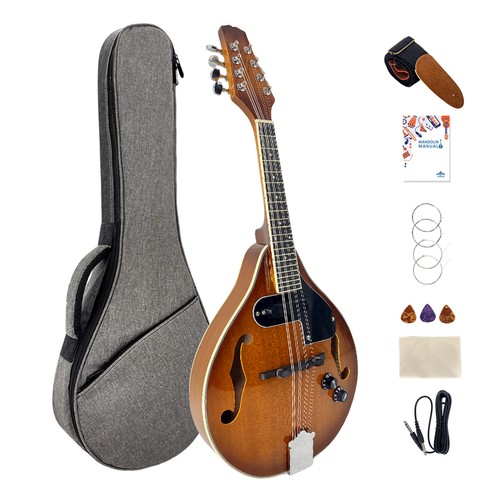 Mandolino elettrico acustico - mandolino,