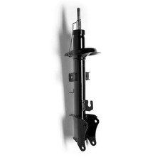 Ammortizzatore MONROE G8019