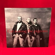 BROS Cat Among The Pigeons