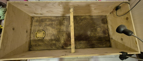 Terrario legno per - in,