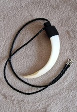 Autentico Dente di Cinghiale