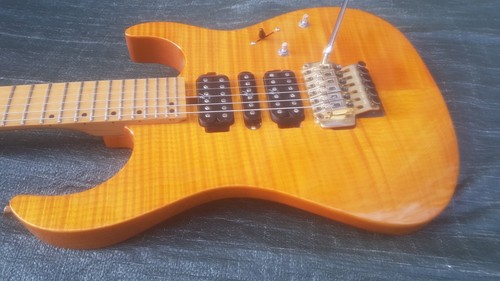 Washburn mercury mg flame - washburn,