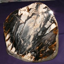 Legno Pietrificato Mirto