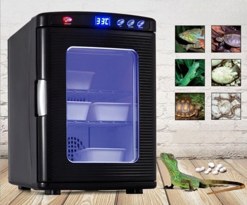 Incubatrice per rettili uova - ,