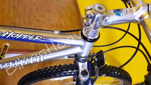 Restored 1999 specialized - restored,
