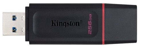 Kingston 256 datatraveler - 256, gb