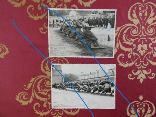 Fotografia gara tiro alla fune - tiro,