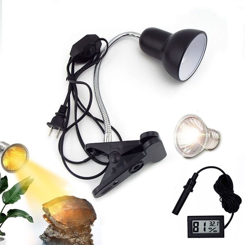 Lampadina uvb termica - uvb,